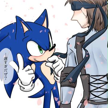 【腐】ソニスネまとめ12