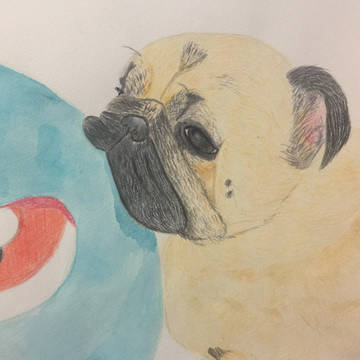 コロちゃん 模写