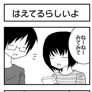 あきこのダンナ「はえてるらしいよ」「エンゼルは飛んで行ったんだよ