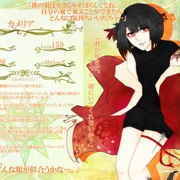 【KMB円環】カメリア【星団の時代】