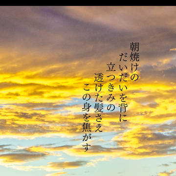 朝焼けのだいだいを背に立つきみの透けた髪さえこの身を焦がす/新刊