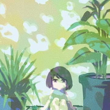 木漏れ日