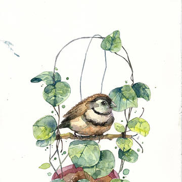 bird on the leaves