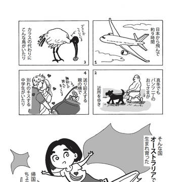 ジャカランダの国に育って
