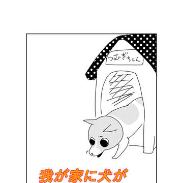 我が家に犬がやってきた。その3