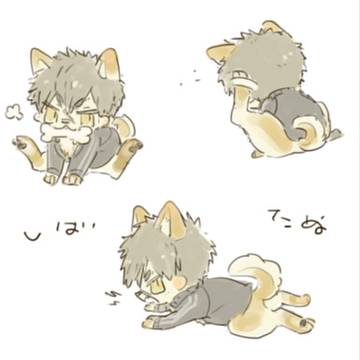 最近のつるたぬくん