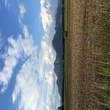 風景写真 ④