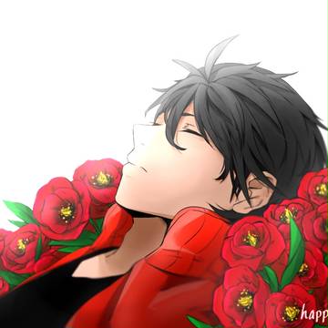Field of Poppies