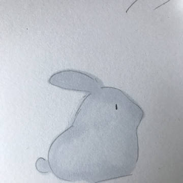 動物