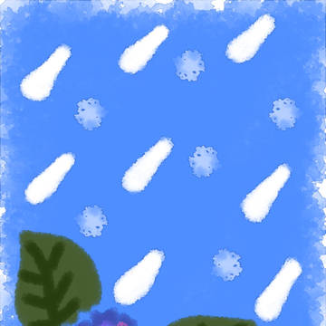 紫陽花