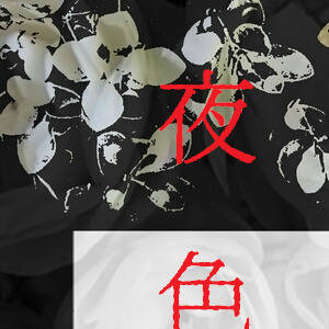 【TOpal】夜色#19【女神の福音アフター】※誘導