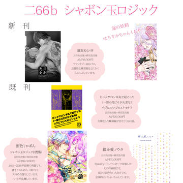 閃華23おしながき