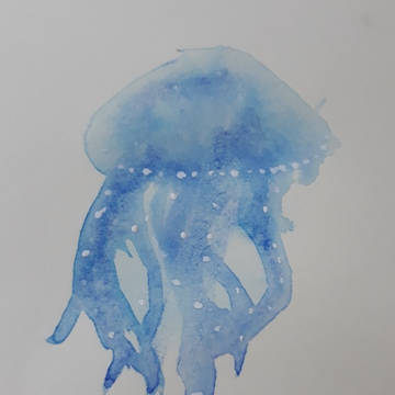 Jellyfish