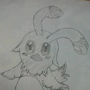 リハビリがてらにラッピー！