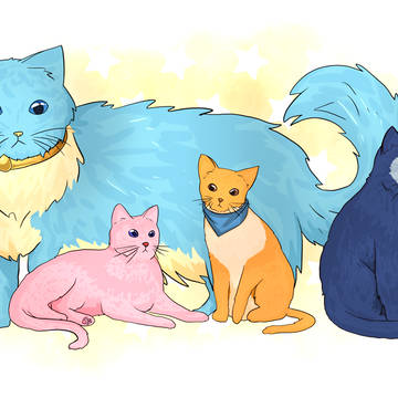 Star cats