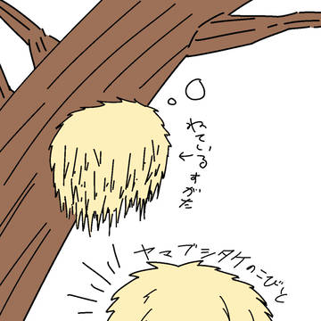 ヤマブシタケ：立ち絵