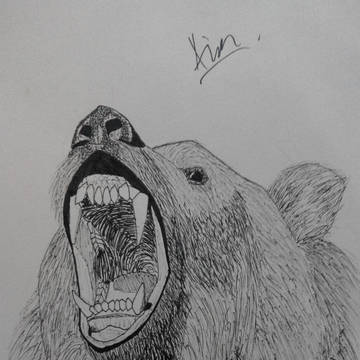 Roaring Bear