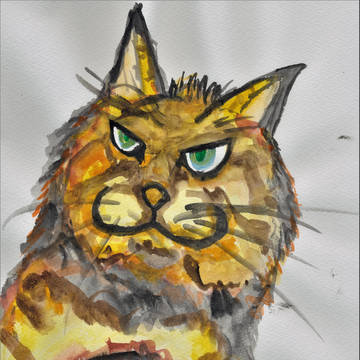 猫