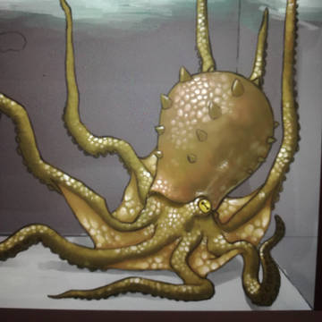タコ野郎