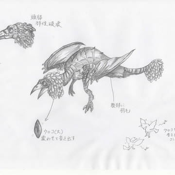 奏鳥　カラカルド