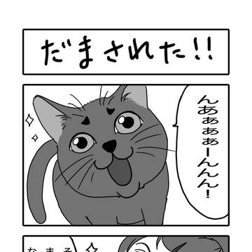 だまされた!!