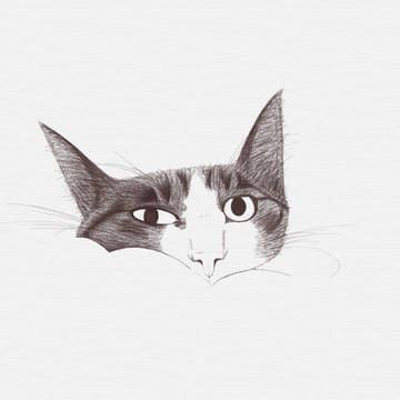 chat