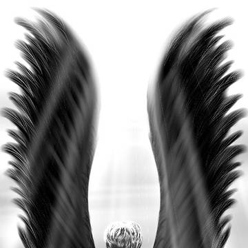BTS V WINGS