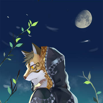 云豹
