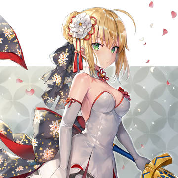 和ドレスセイバー