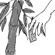 七夕