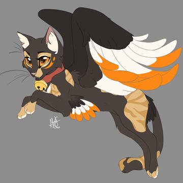 Winged She-cat