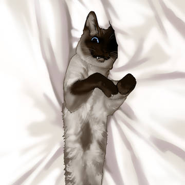 うちのネコ 2