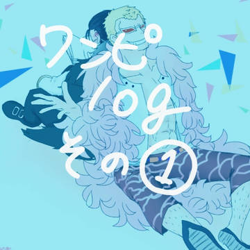 ワンピlogその①