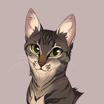 S'mores - Portrait