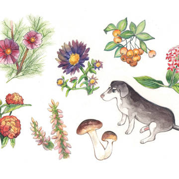 MY WATER COLOR BOOK 02