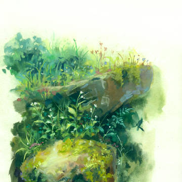 野草