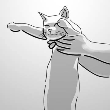 猫