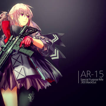 AR-15