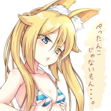 ぺったんこじゃない