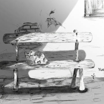 cat