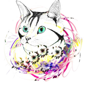 ネコとアネモネ_01