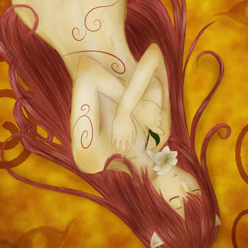 Lilium