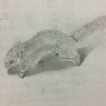 デッサンNo.13