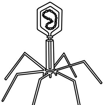 Bacteriophage