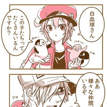 はたらく細胞白赤まとめ