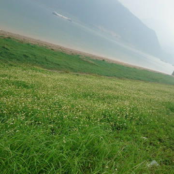 一线江