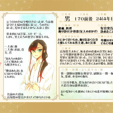 うちの審神者くん設定