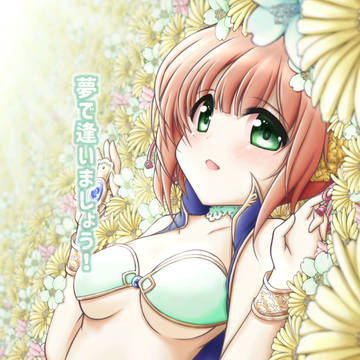 C94表紙(あいミスよりクリス)