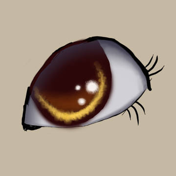眼睛