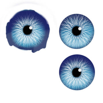 眼睛